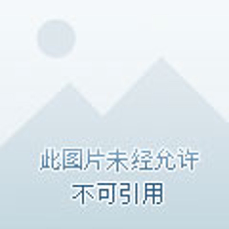 早餐新潮流：健康饮食开启活力一天